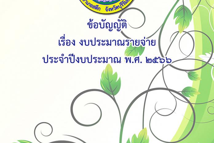 ข้อบัญญัติงบประมาณรายจ่าย ประจำปีงบประมาณ พ.ศ. 2566