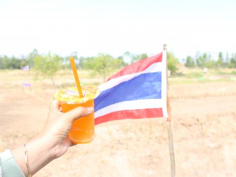 27 พฤศจิกายน 2566 โครงการ 1 ไร่ 1 ล้าน