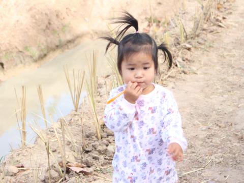 27 พฤศจิกายน 2566 โครงการ 1 ไร่ 1 ล้าน