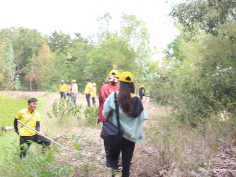 6 มิถุนายน 2567 วันต้นไม้ของชาติประจำปี 2567