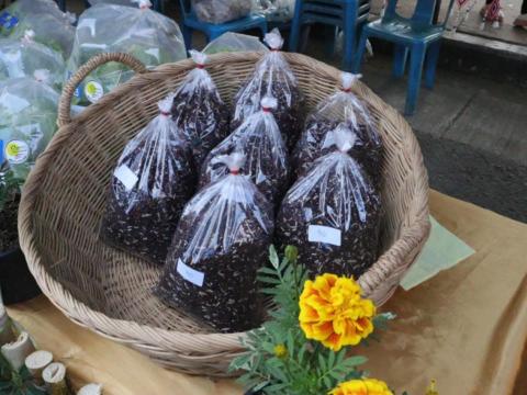 งานเทศการกินปลามูลอำเภอสตึกจังหวัดบุรีรัมย์ ประจำปี2568