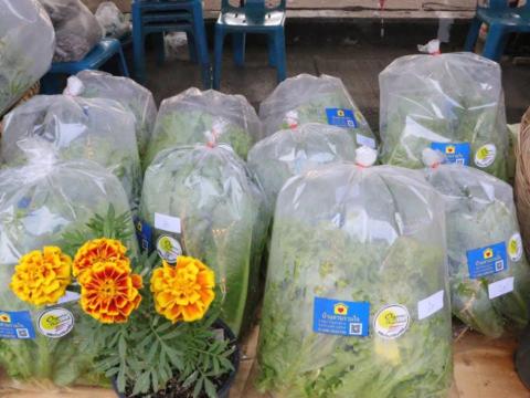 งานเทศการกินปลามูลอำเภอสตึกจังหวัดบุรีรัมย์ ประจำปี2568