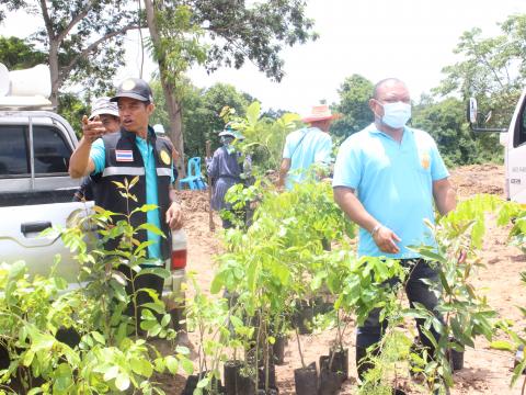 18สิงหาคม2565จัดกิจกรรมปลูกต้นไม้ตามโครงการท้องถิ่นปลูกป่า