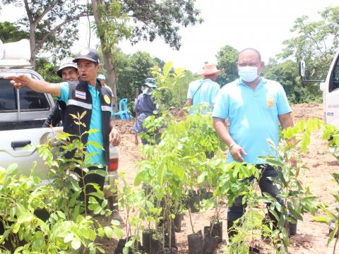 18สิงหาคม2565จัดกิจกรรมปลูกต้นไม้ตามโครงการท้องถิ่นปลูกป่า