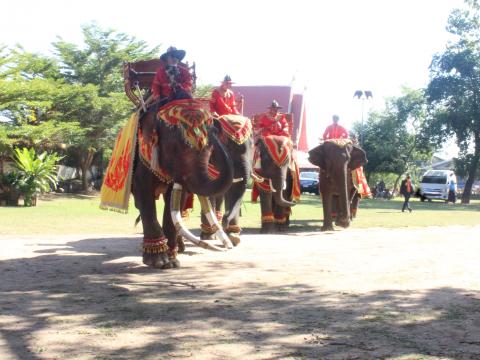 3 พฤศจิกายน 2565 งานเทศกาลศิลปวัฒนธรรมพื้นบ้านนานาชาติ