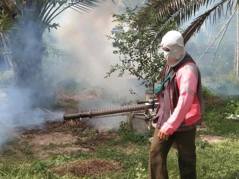 19 ธันวาคม 2565 ฉีดพ่นหมอกควันกำจัดยุงลาย