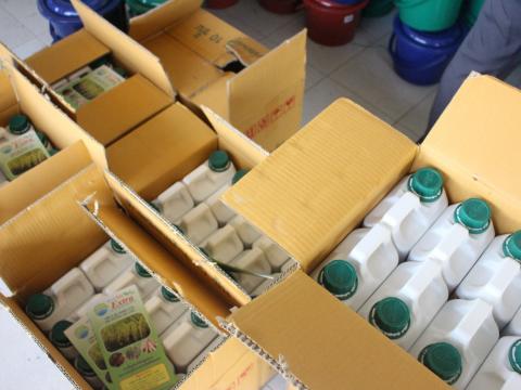 10 มีนาคม 2566