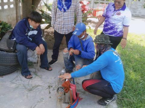 19-23 มิถุนายน 2566 ออกฉีดพ่นหมอกควันกำจัดยุงลาย